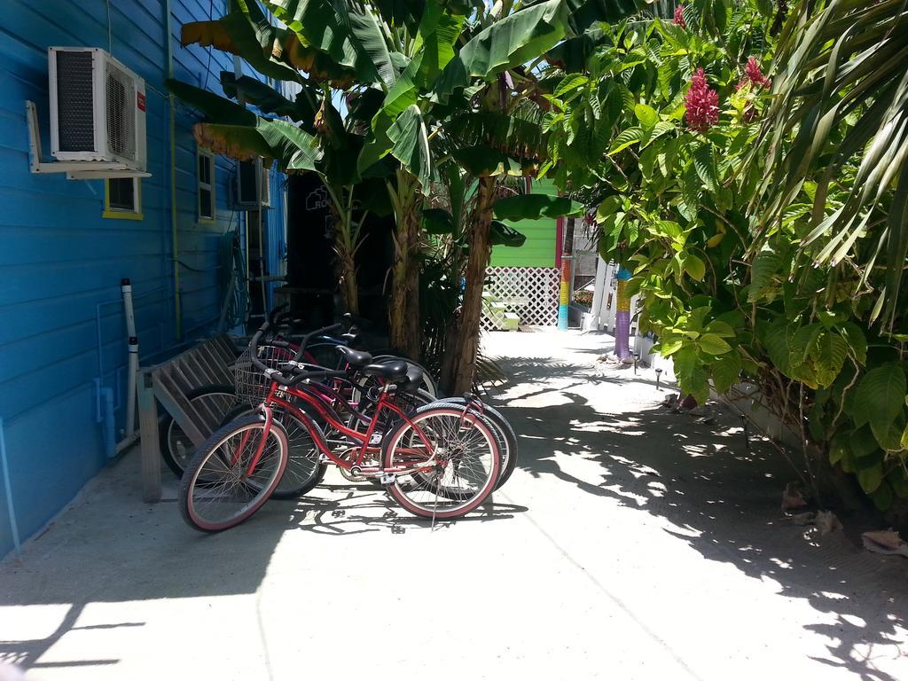 Sea N Sun Guest House Caye Caulker Kültér fotó