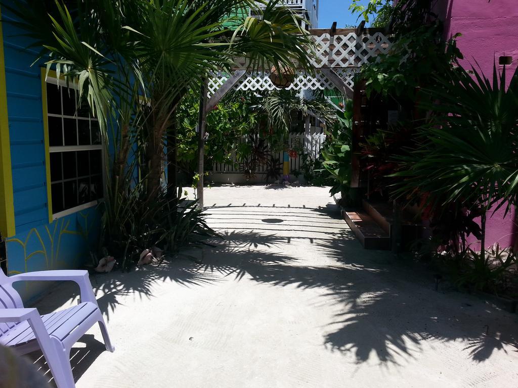 Sea N Sun Guest House Caye Caulker Kültér fotó