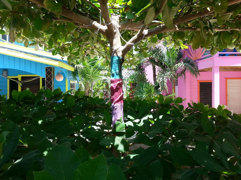 Sea N Sun Guest House Caye Caulker Kültér fotó