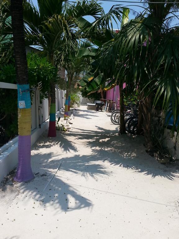 Sea N Sun Guest House Caye Caulker Kültér fotó